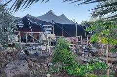 מלון בוטיק מגדל 41