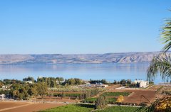 מלון בוטיק מגדל 48