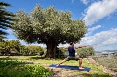 מלון בוטיק מגדל 9