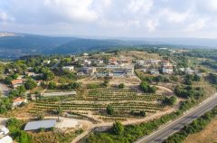 מלון בוטיק מטע וכרם 15