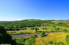 מלון בוטיק דונה דיטה 37