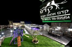 מלון בוטיק קדם אחוזת יוקרה 62