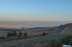 מלון בוטיק וגאס 20