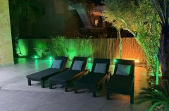 היערה הלבנה 19