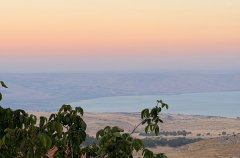 וילה מיראדור 17